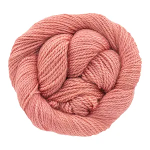 Dream in Color Field Collection: Suzette Yarn - Fortune Teller