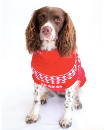 Fair Isle Jumper by Canine & Co