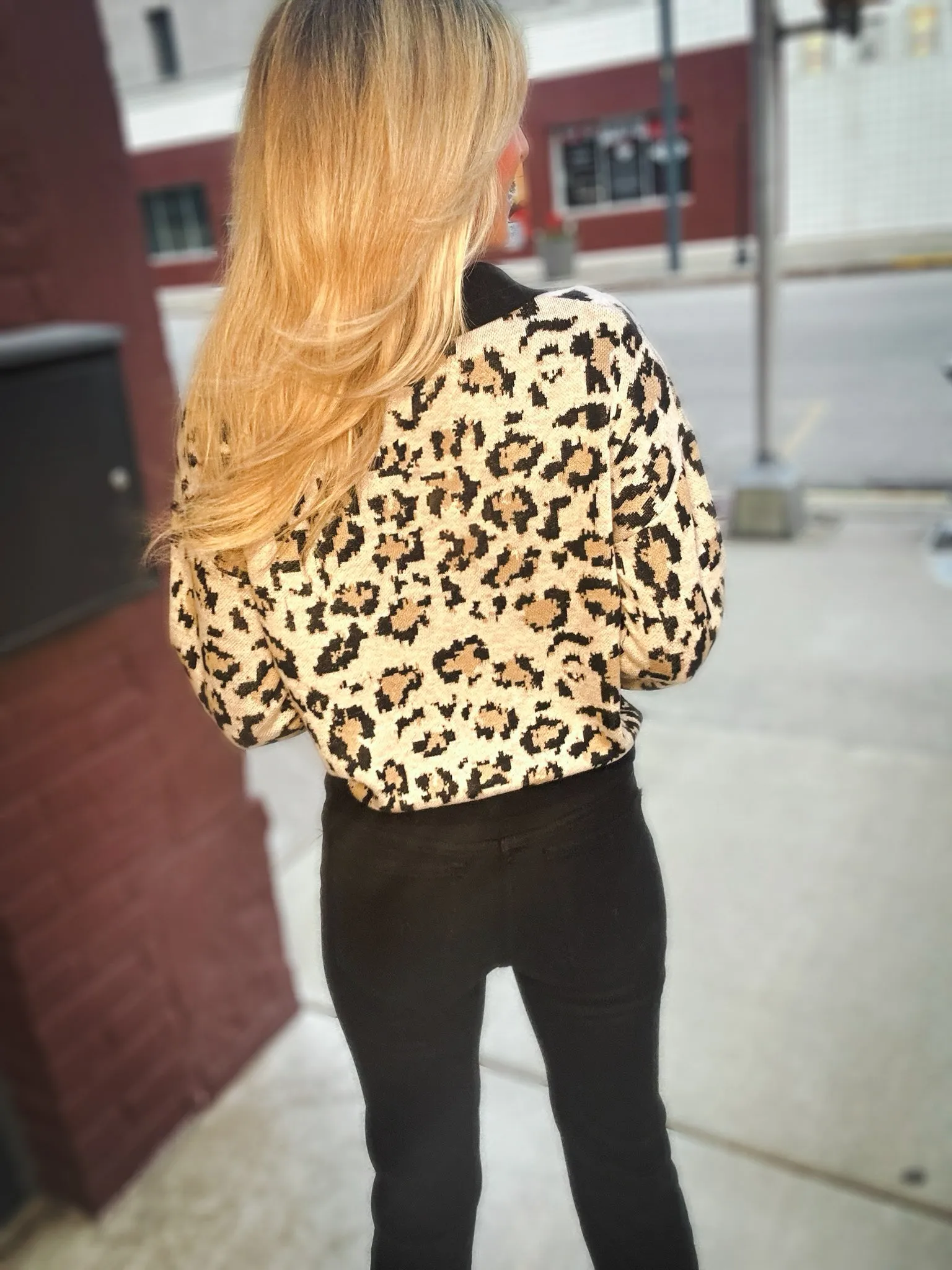 Heartloom Rowan Polo Sweater