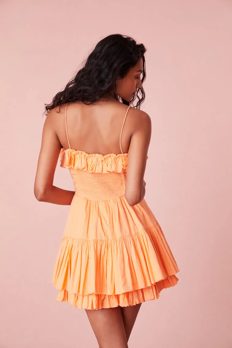 Linny Mini Dress