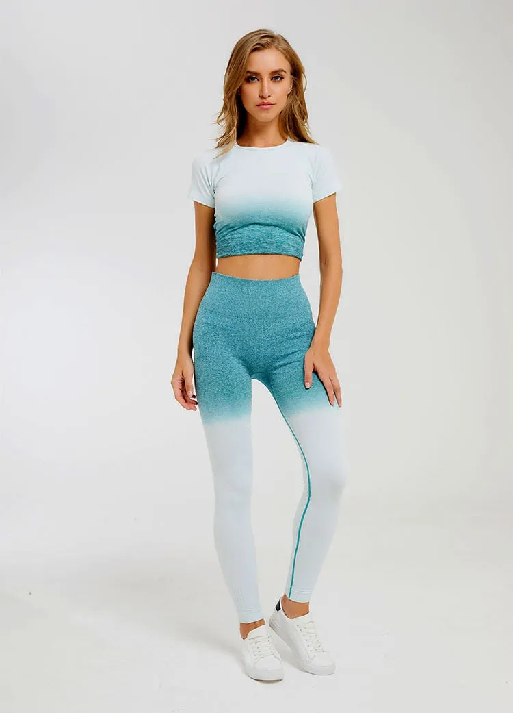 Ombre Seamless Short Sleeve Crop Top