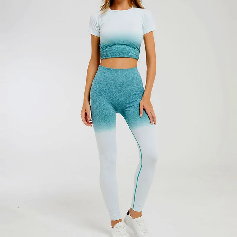Ombre Seamless Short Sleeve Crop Top