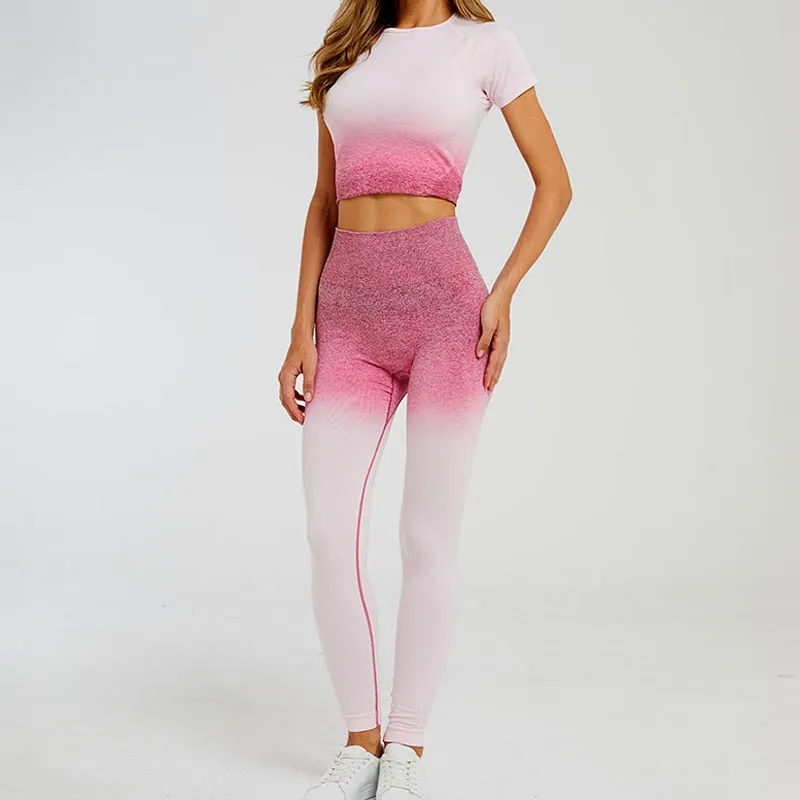 Ombre Seamless Short Sleeve Crop Top