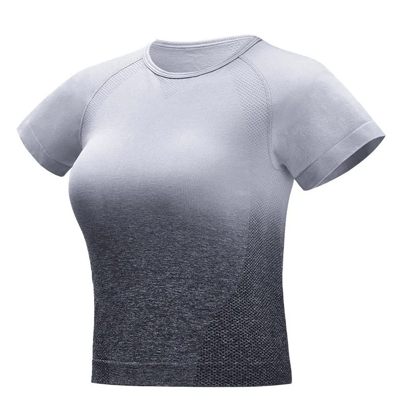 Ombre Seamless Short Sleeve Crop Top