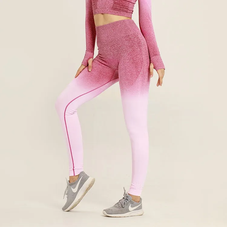 Ombre Seamless Short Sleeve Crop Top