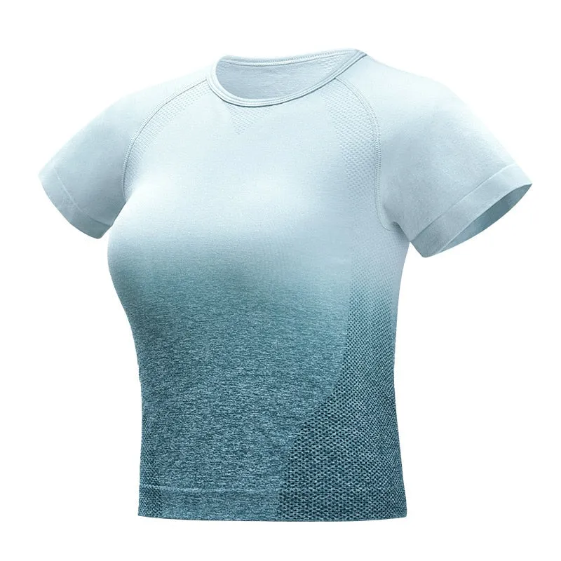 Ombre Seamless Short Sleeve Crop Top