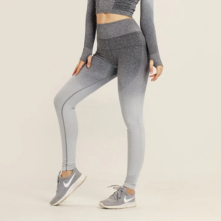Ombre Seamless Short Sleeve Crop Top