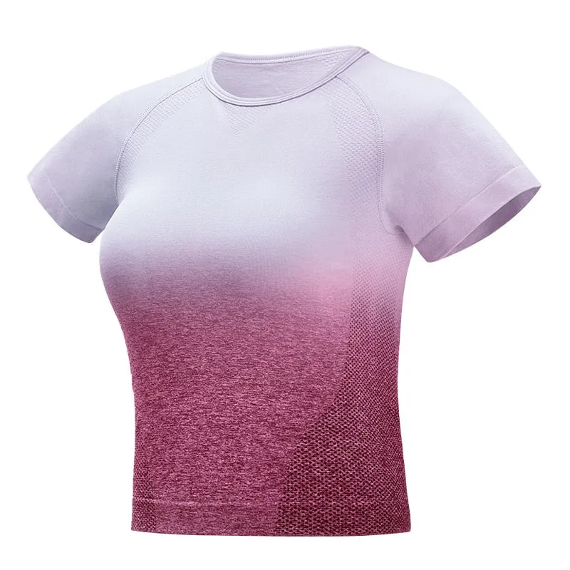 Ombre Seamless Short Sleeve Crop Top