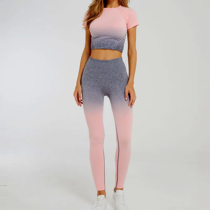 Ombre Seamless Short Sleeve Crop Top
