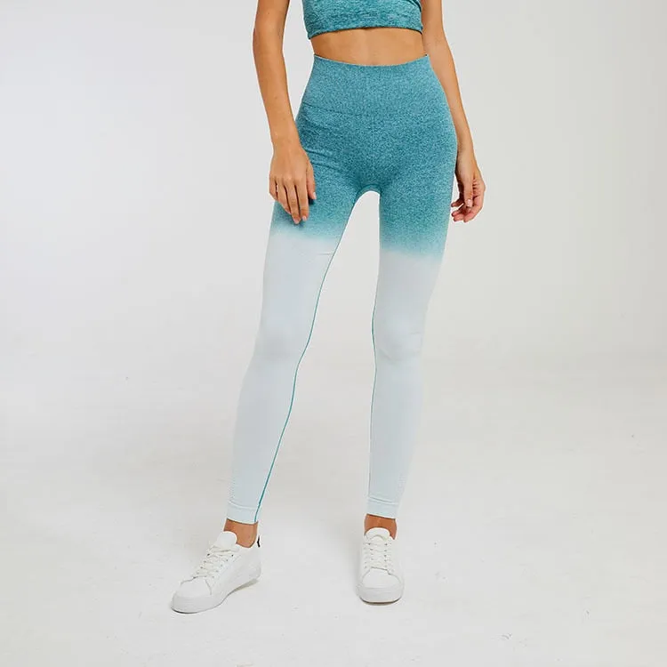 Ombre Seamless Short Sleeve Crop Top