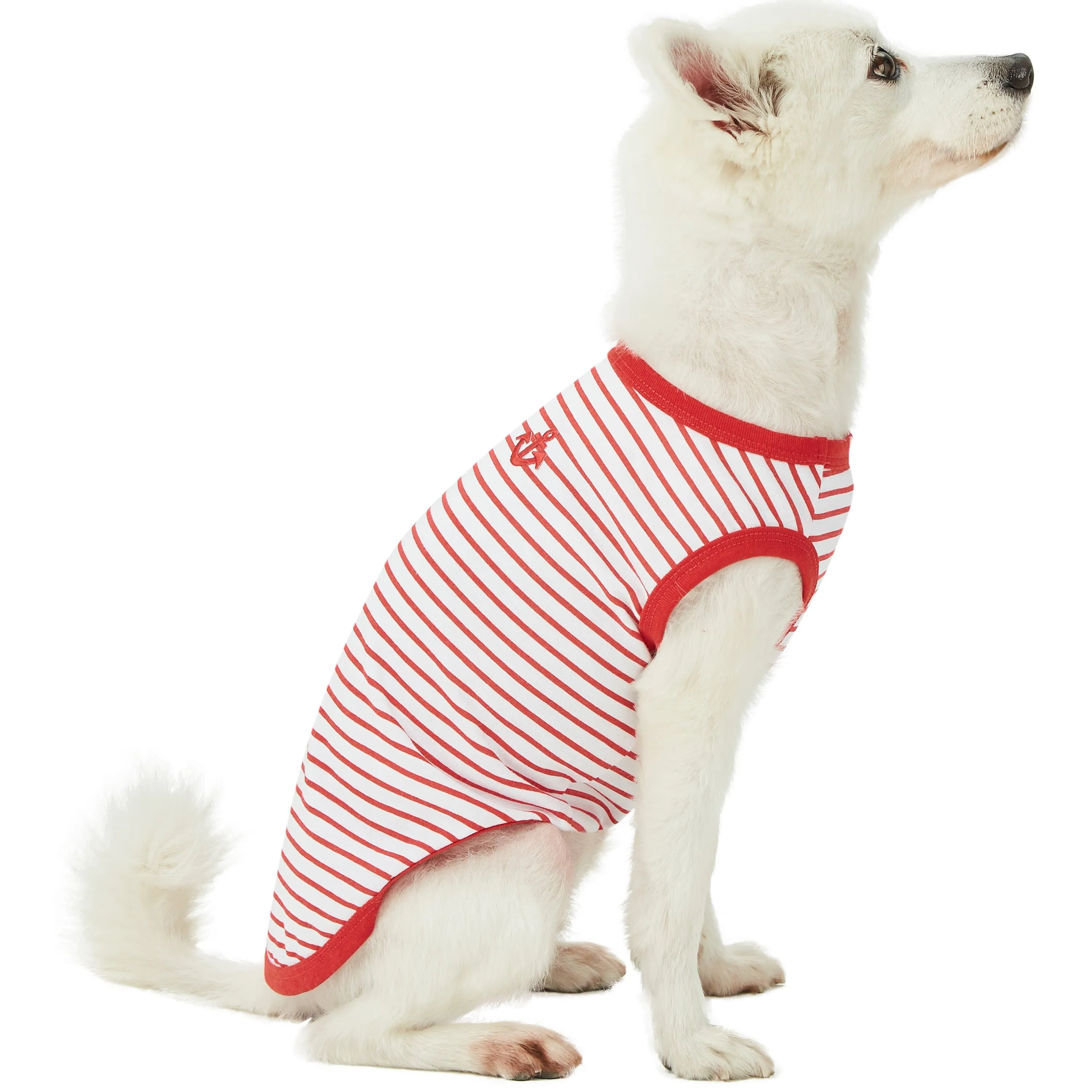 Summer Vacation Beach Dog T-shirts 2 Pack Sea Lover Shirts